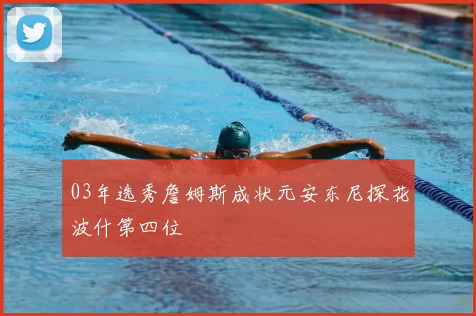 03年选秀詹姆斯成状元安东尼探花波什第四位