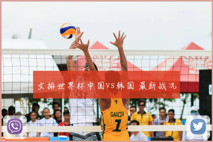 女排世界杯中国vs韩国 最新战况