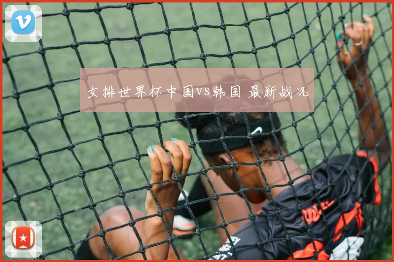 女排世界杯中国vs韩国 最新战况