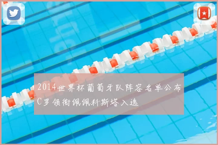 2014世界杯葡萄牙队阵容名单公布C罗领衔佩佩科斯塔入选