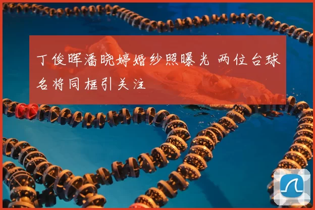 丁俊晖潘晓婷婚纱照曝光 两位台球名将同框引关注