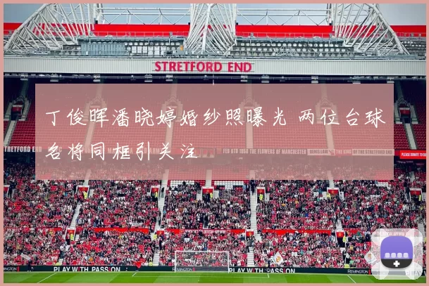 丁俊晖潘晓婷婚纱照曝光 两位台球名将同框引关注