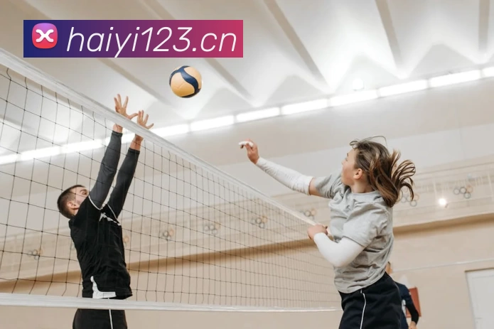 App Interface Preview